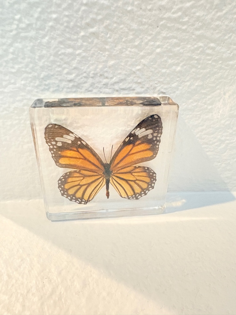 Mixed 4 pack of Butterfly Resin Art Block/coasters